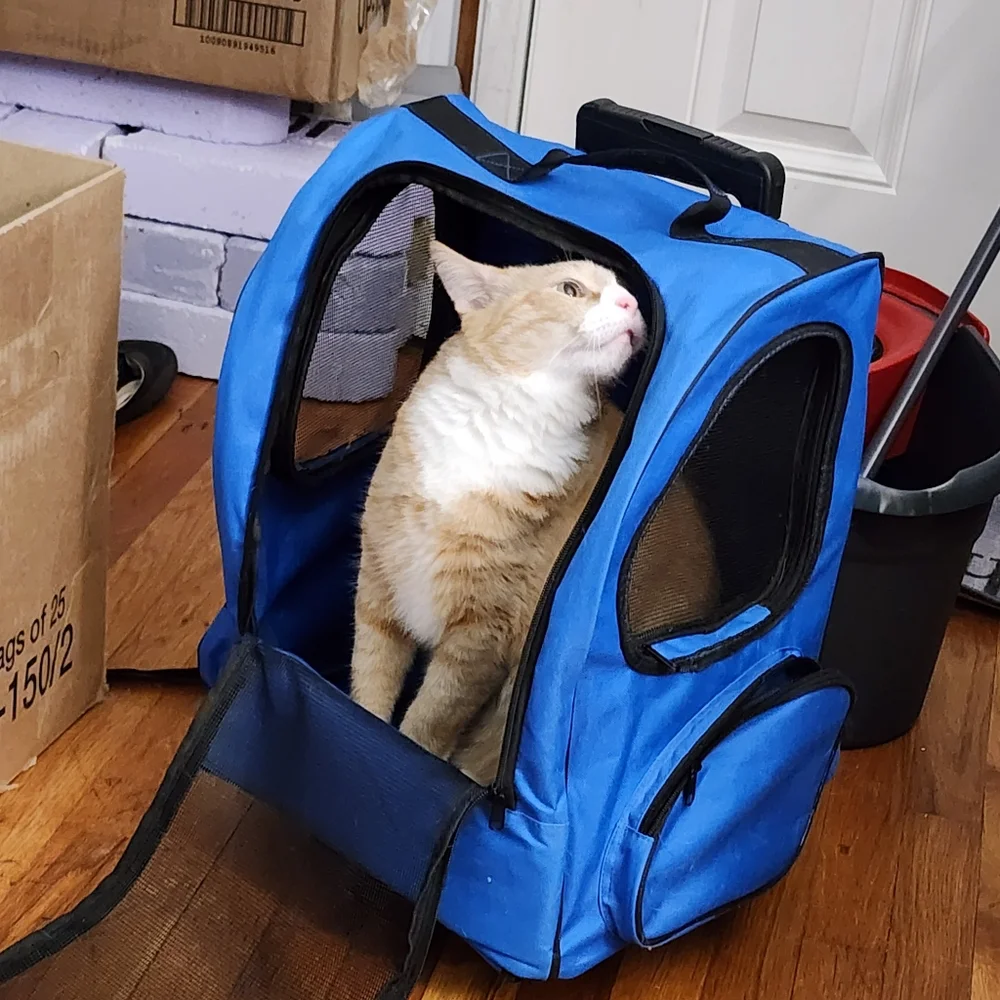 Pet Carrier